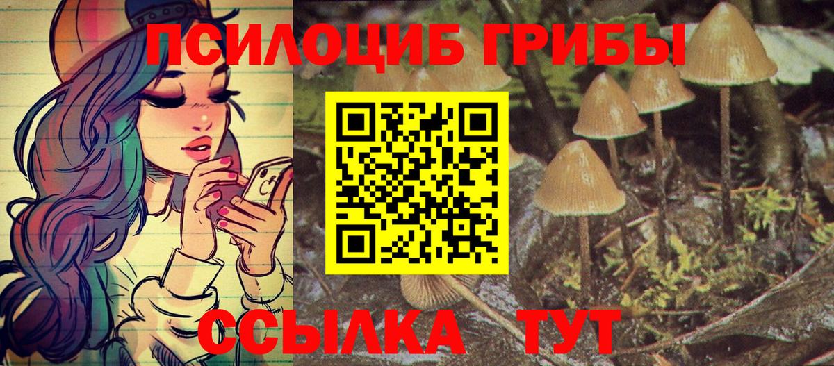 Звенигород  Галлюциногенные грибы мицелий  Галлюциногенные грибы Cubensis  купить наркоту  Вход с VPN 